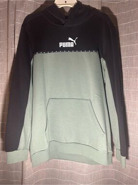 Puma Men's Two-Tone Hooded Sweatshirt in Sage and Black